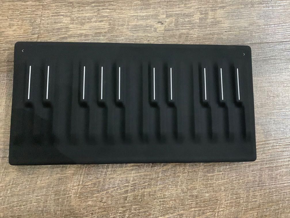 Roli Seaboard Block