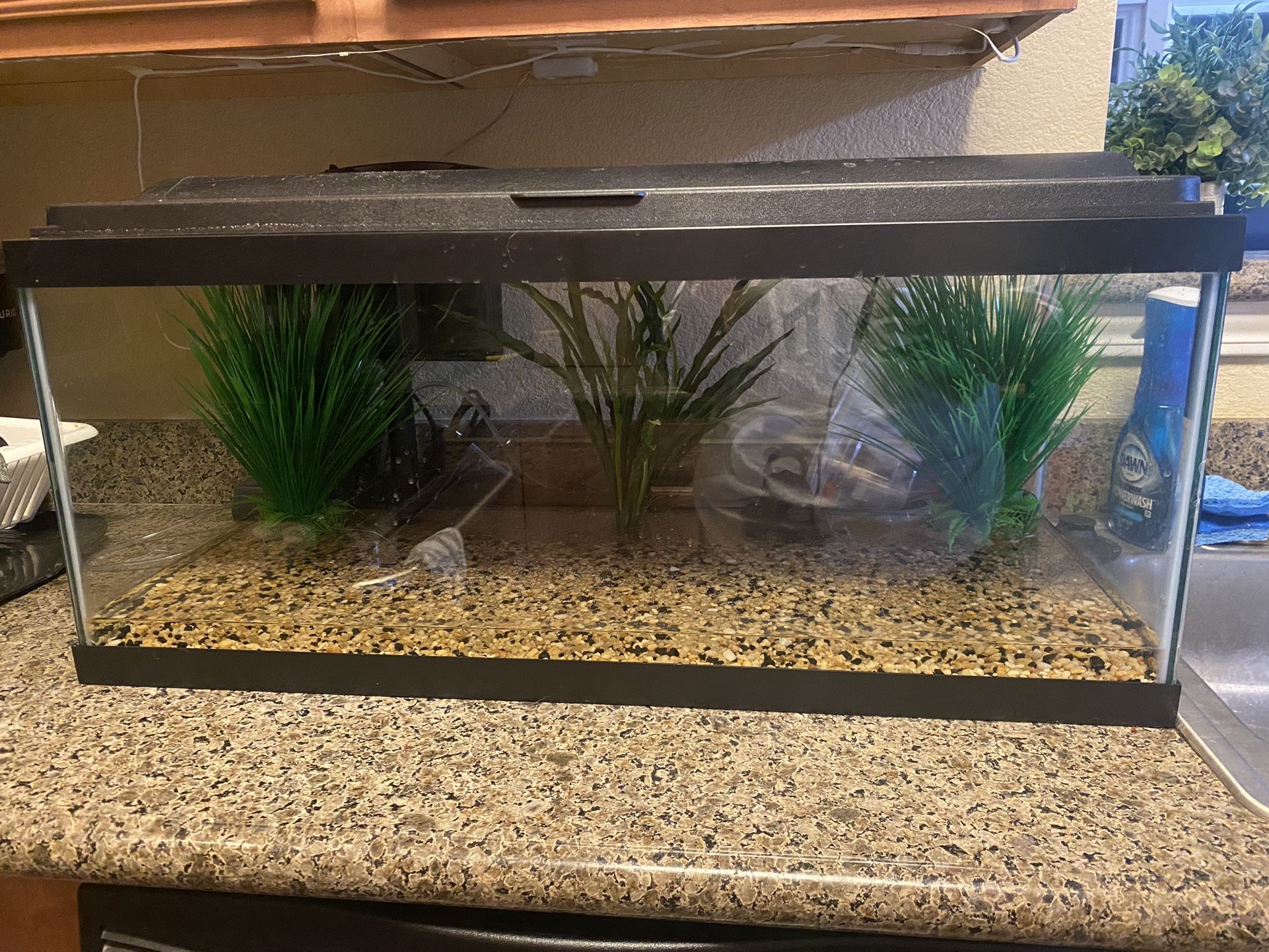 Fish Tank 20 Gallons