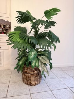 Faux Indoor Big Plant Tree