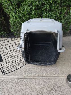 Pet taxi