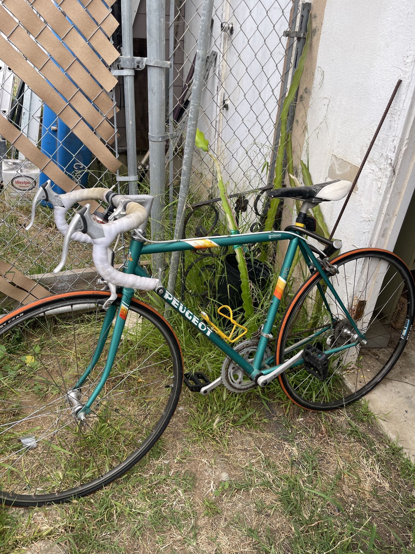 Vintage Peugeot Road Bike