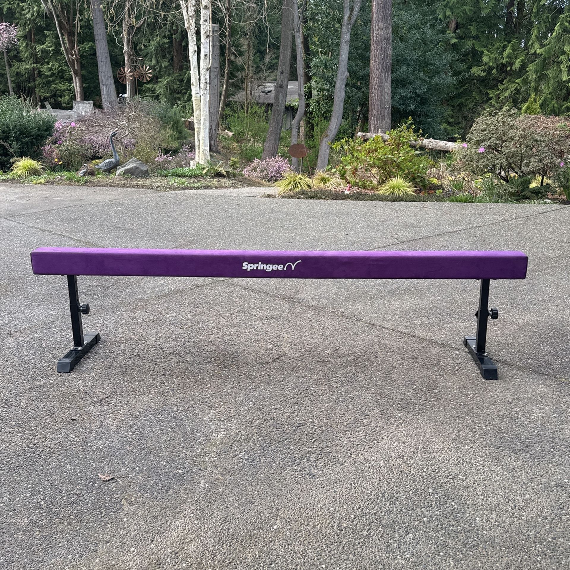 Springee Balance Beam