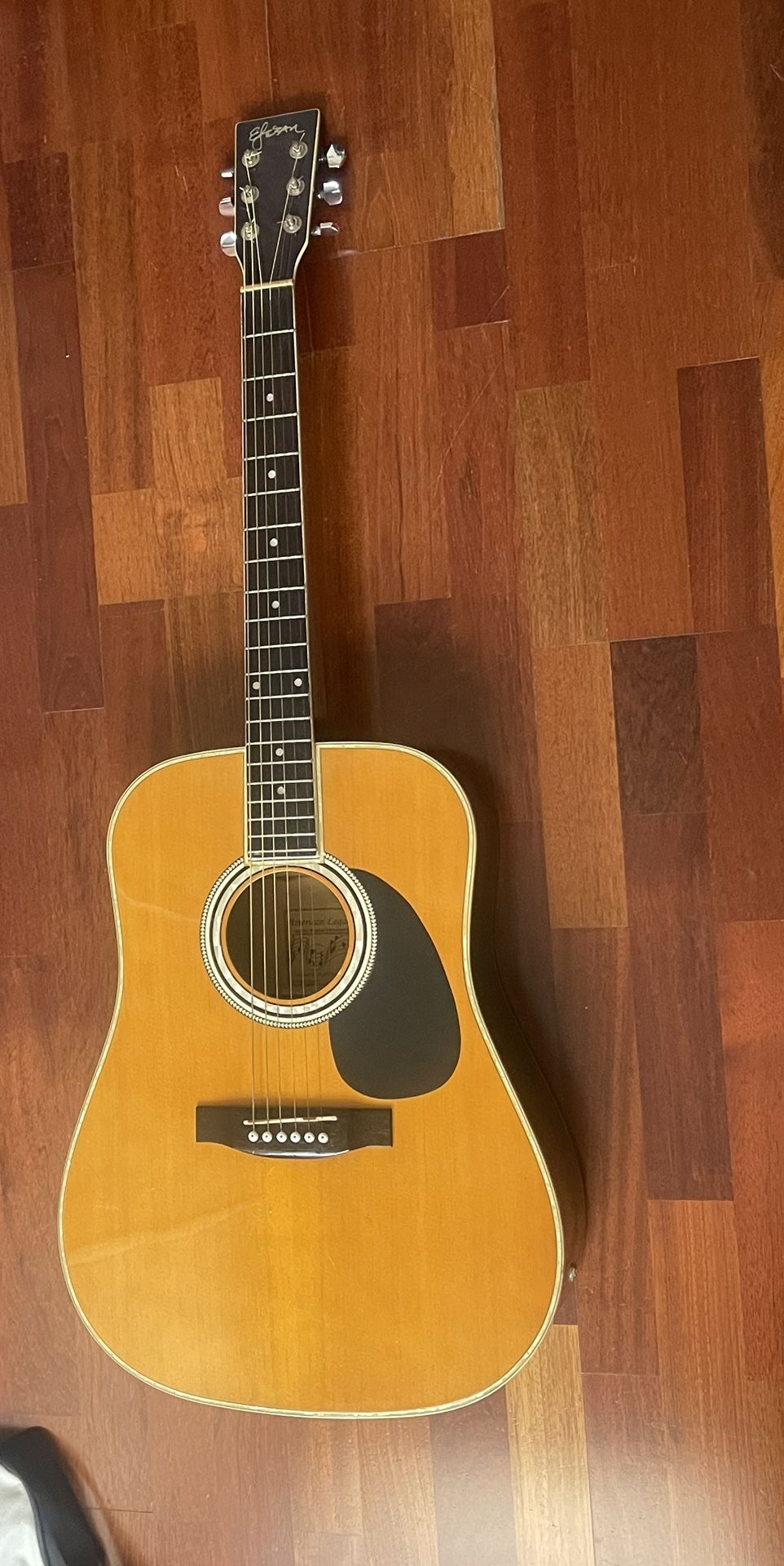 Esteban Acoustic/Electric Guitar