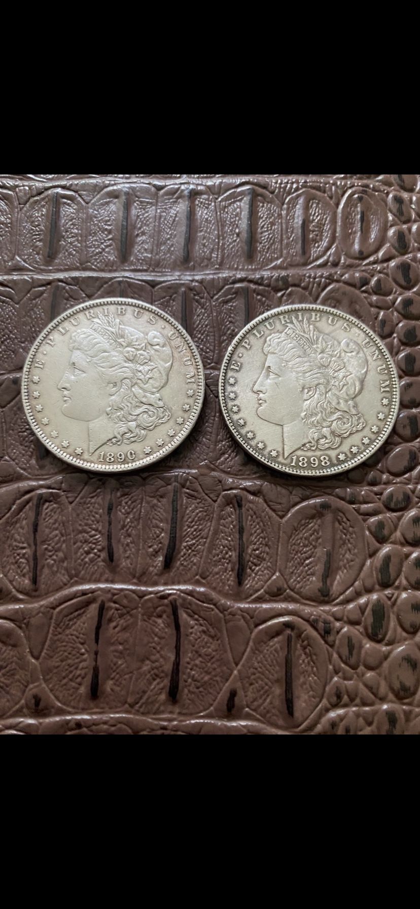 Morgan Silver Dollars