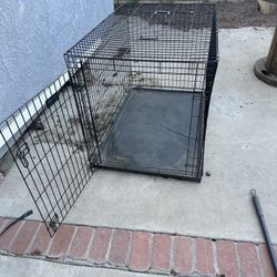 Dog Kennel