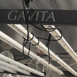 Gavitas 1900 And 1760 