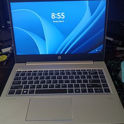 HP ProBook 445 G7 