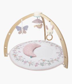 Aden + Anais Activity Gym