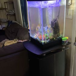 30 Gallon Fish Tank & Stand