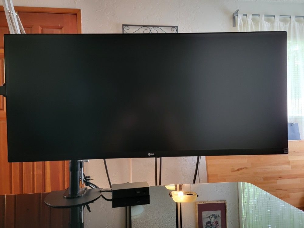 LG Ultrawide 34" Monitor