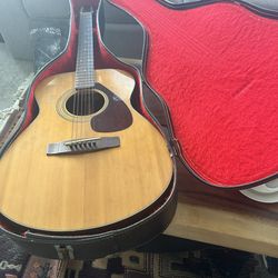 Acoustic Guitar + Hard Case