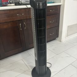 Electronic Fan (for Indoor Use) 