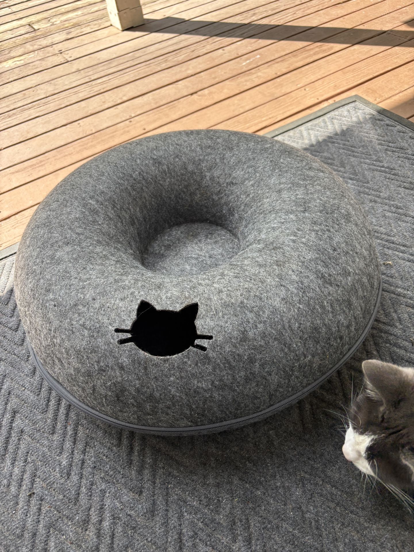 Donut Cat Cave