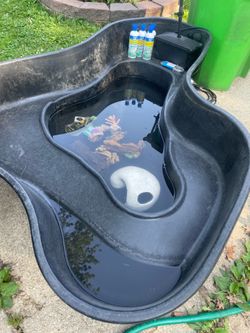 Koi pond and decor