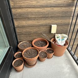 11 Clay Pots With Soil