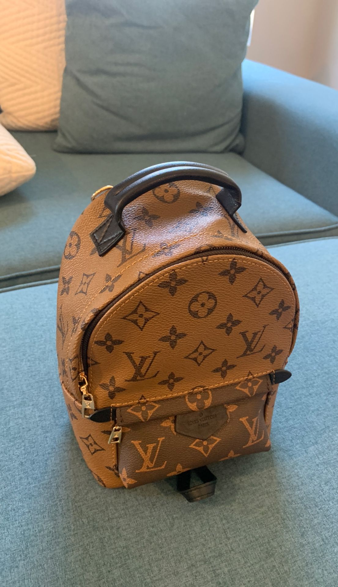 Louis Vuitton mini Backpack