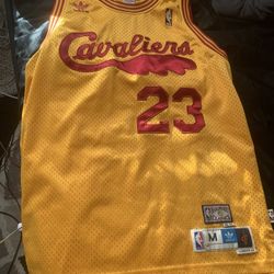 lebron jersey hardwood classic 