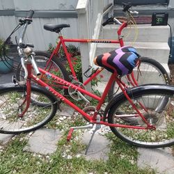 Vintage Schwinn Mountain Bikes Mesa Runner His And Hers 