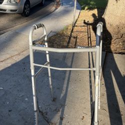 Adult Walkers