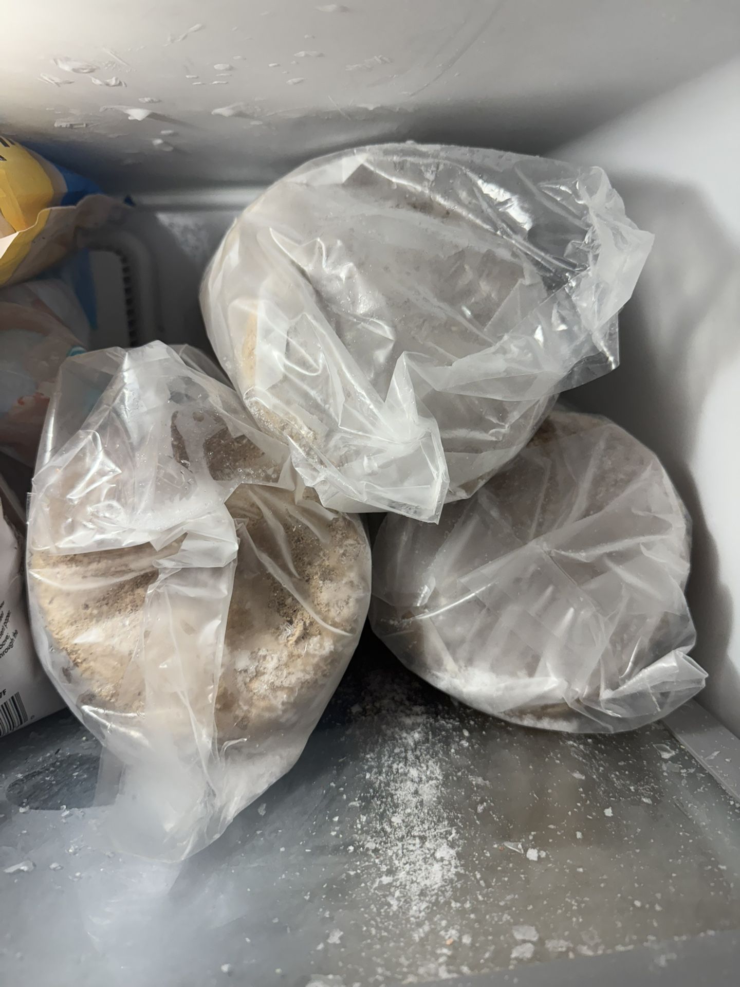 Raw Dog Food Small Batch Beef 18lbs Frozen Patties 