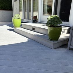2 beautiful succulents with green ceramic pots