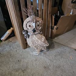 Owl