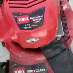 Chain Sawn Lawn Mowers 