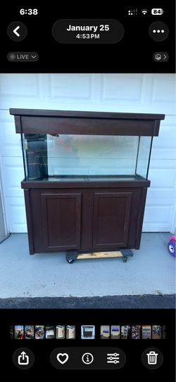 55 gal reef tank