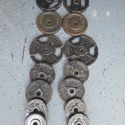 Weight Plates Weightlift Excercise Workout Bench Press Curl 