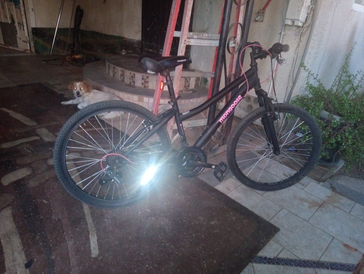 Mongoose 21 Speed Girls Bike