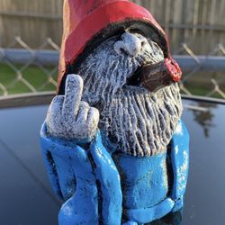 The Middle Finger Gnome