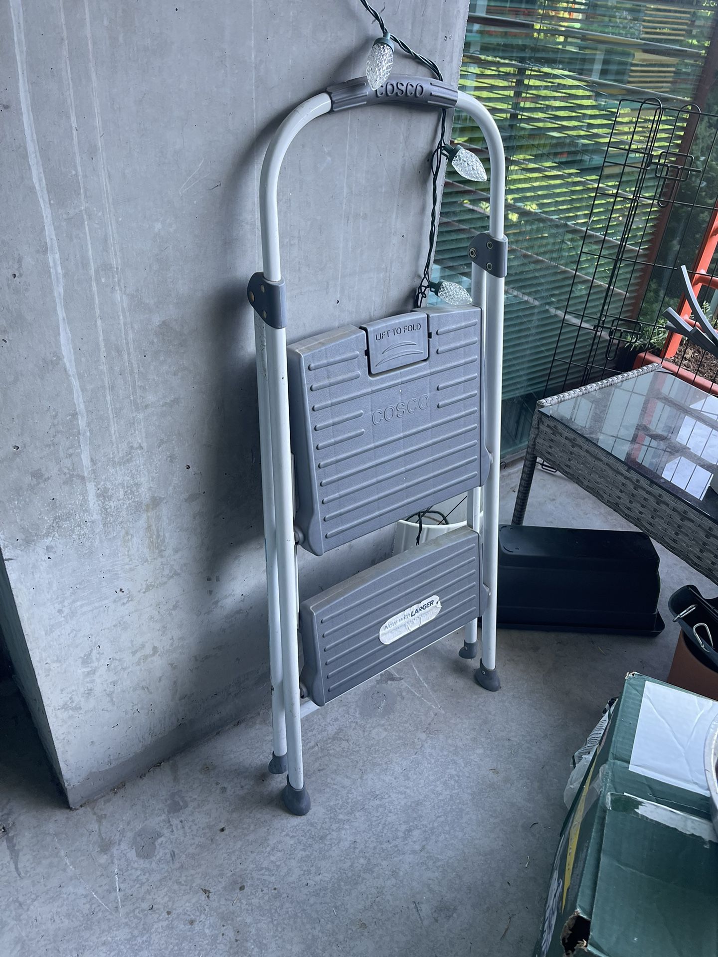 Step Ladder Costco
