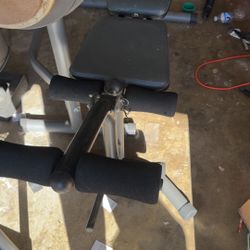 Bench/ Squat Rack With Weights 