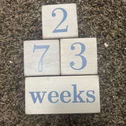 Age Blocks, Wood Blocks, Milestone Blocks, Baby Photos
