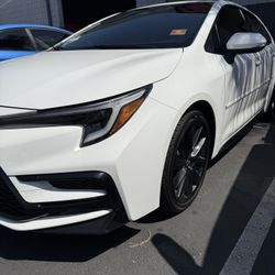 Tint For Sale 