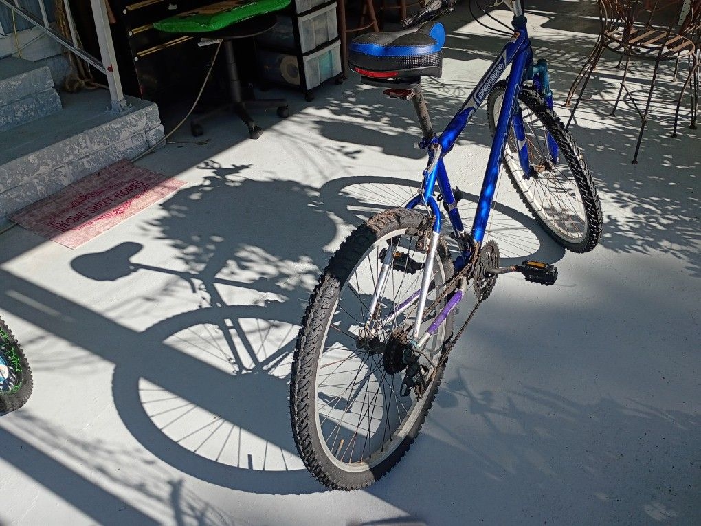26 Inc Bike With Speeds , New Seat , Brakes, Tubes And Tires. $50