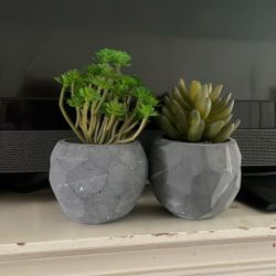 Faux Succulents Set 