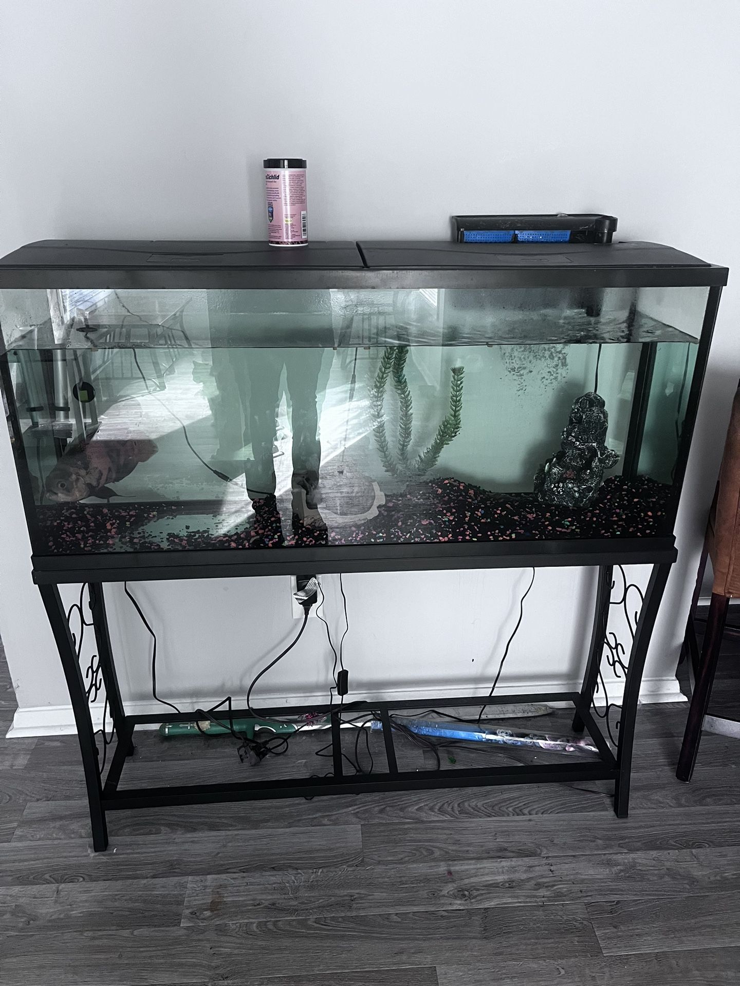 55 Gallon Fish Tank And Stand