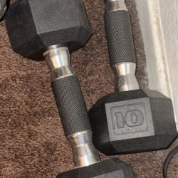 10 pound dumbbells (2)