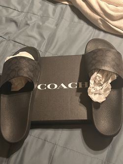 Coach Slides Black Size 13m