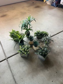Home Decor