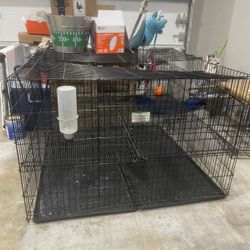 Kennel Puppy Cage Dog Perro 