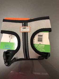 Dog harness for small dog
