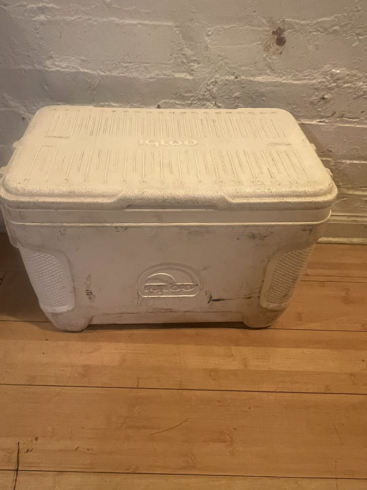 Igloo Cooler
