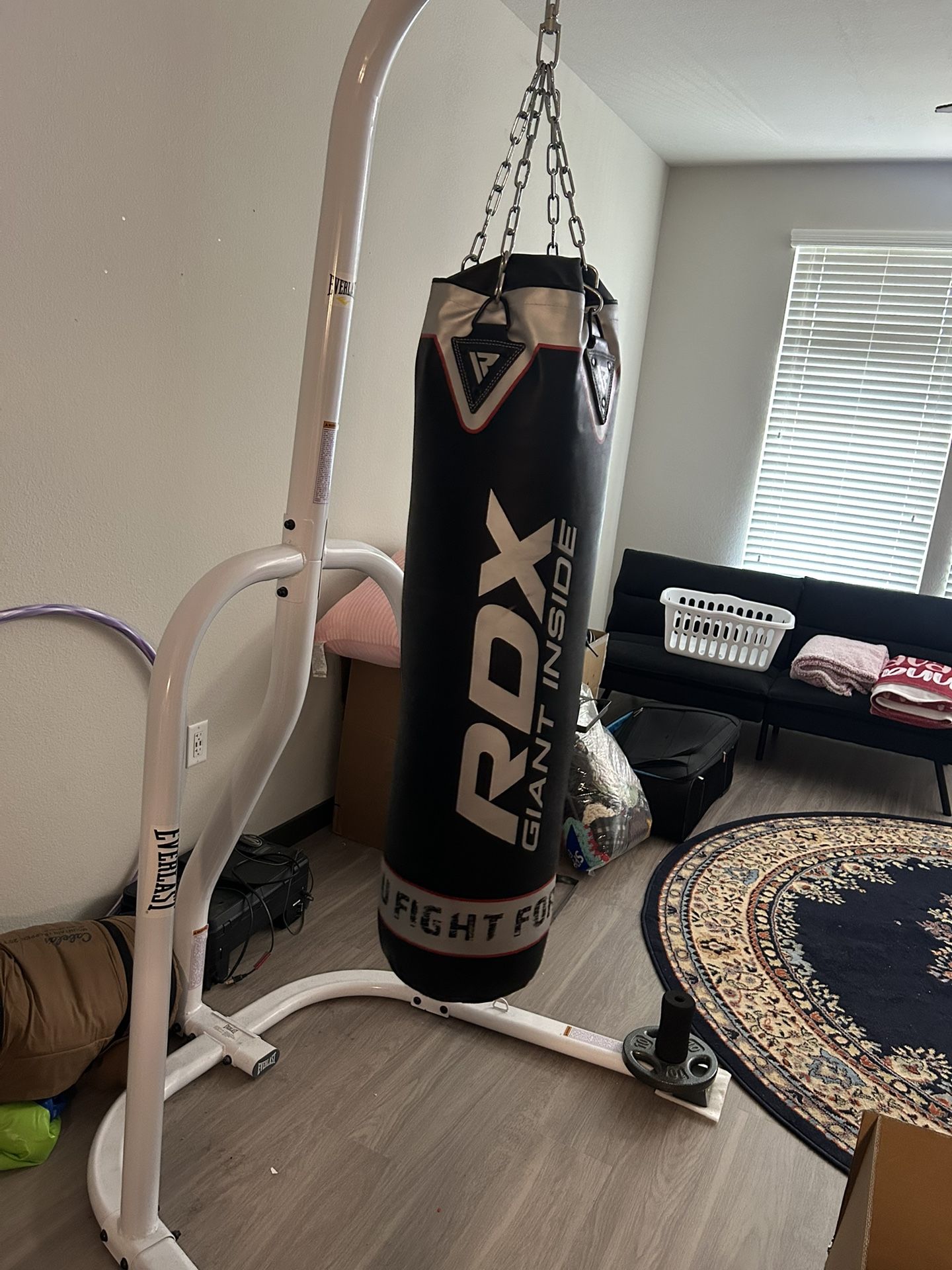 Everlast Punching Bag With Gloves 
