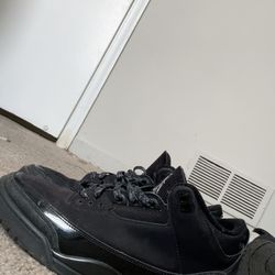 Air Jordan Black Cat 3s