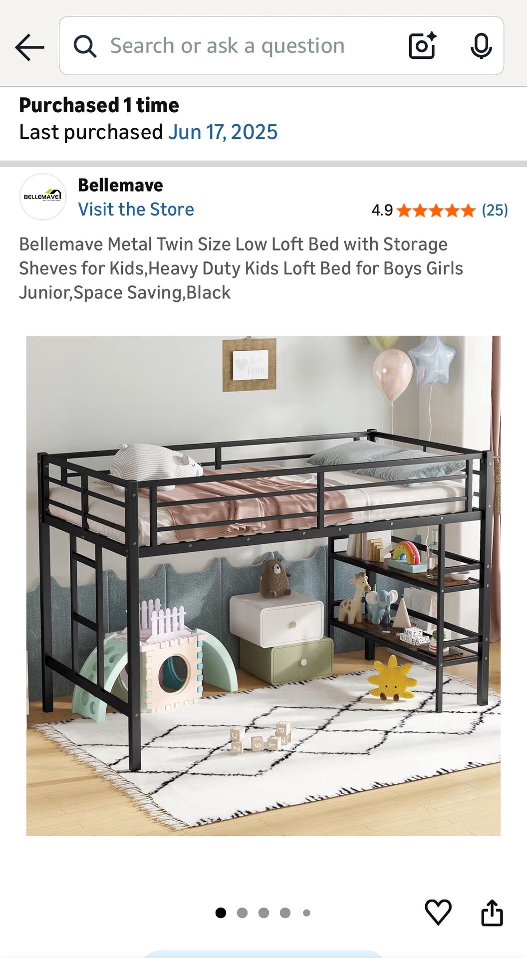 Low Loft Bed With Twin Mattress