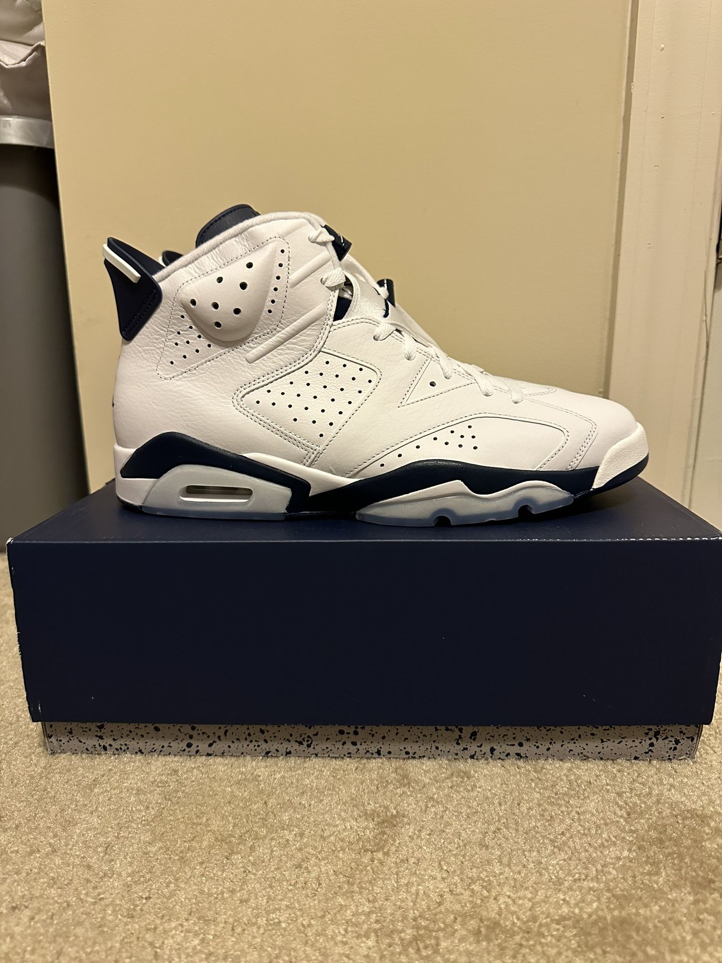 Air Jordan 6 Retro