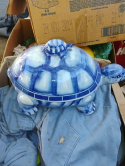 Turquoise Turtle 