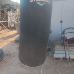 Ever strike Punching Bag 